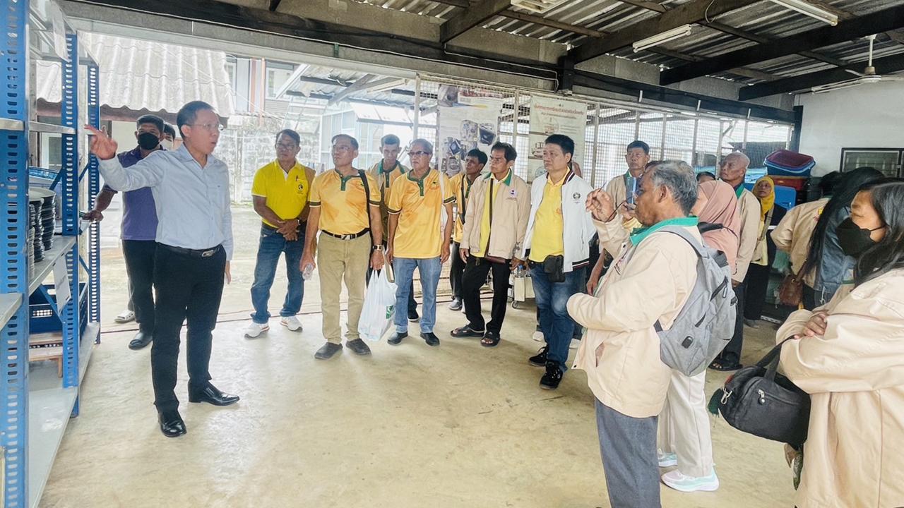 ภาพประกอบที่ 5