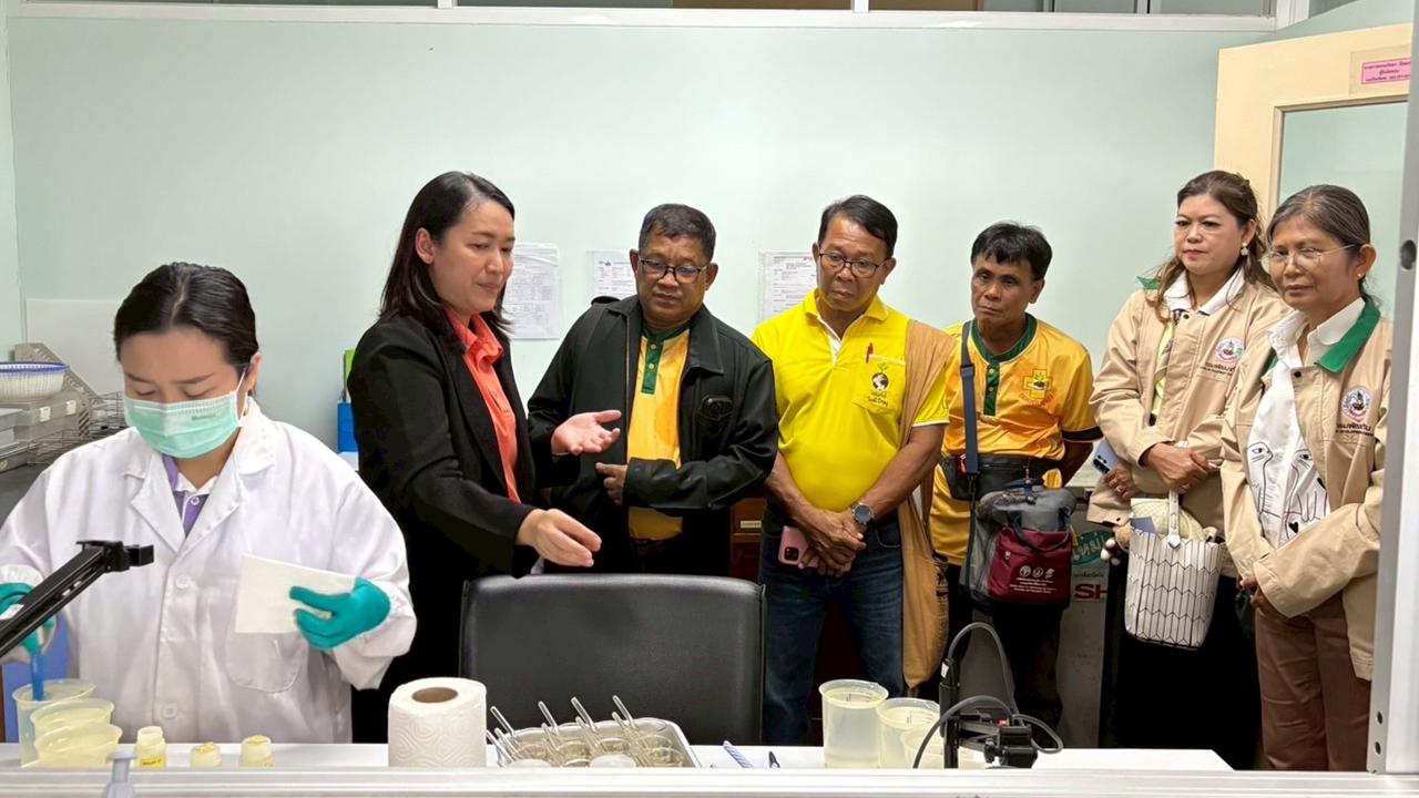 ภาพประกอบที่ 7