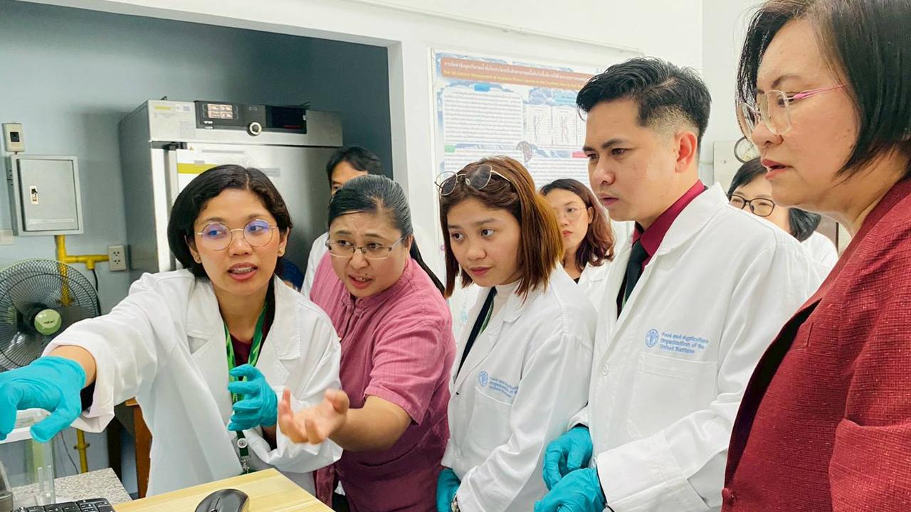 ภาพประกอบที่ 3