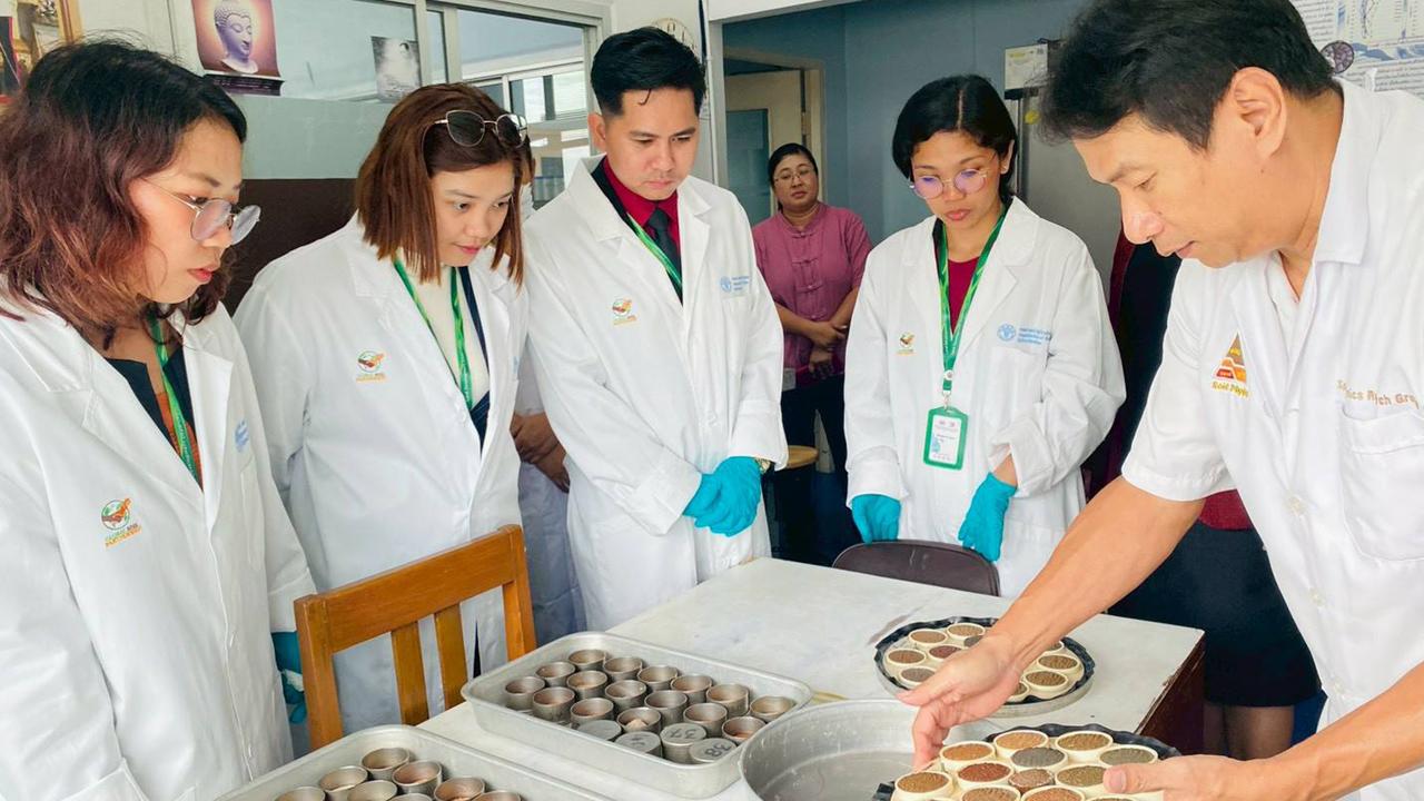 ภาพประกอบที่ 8