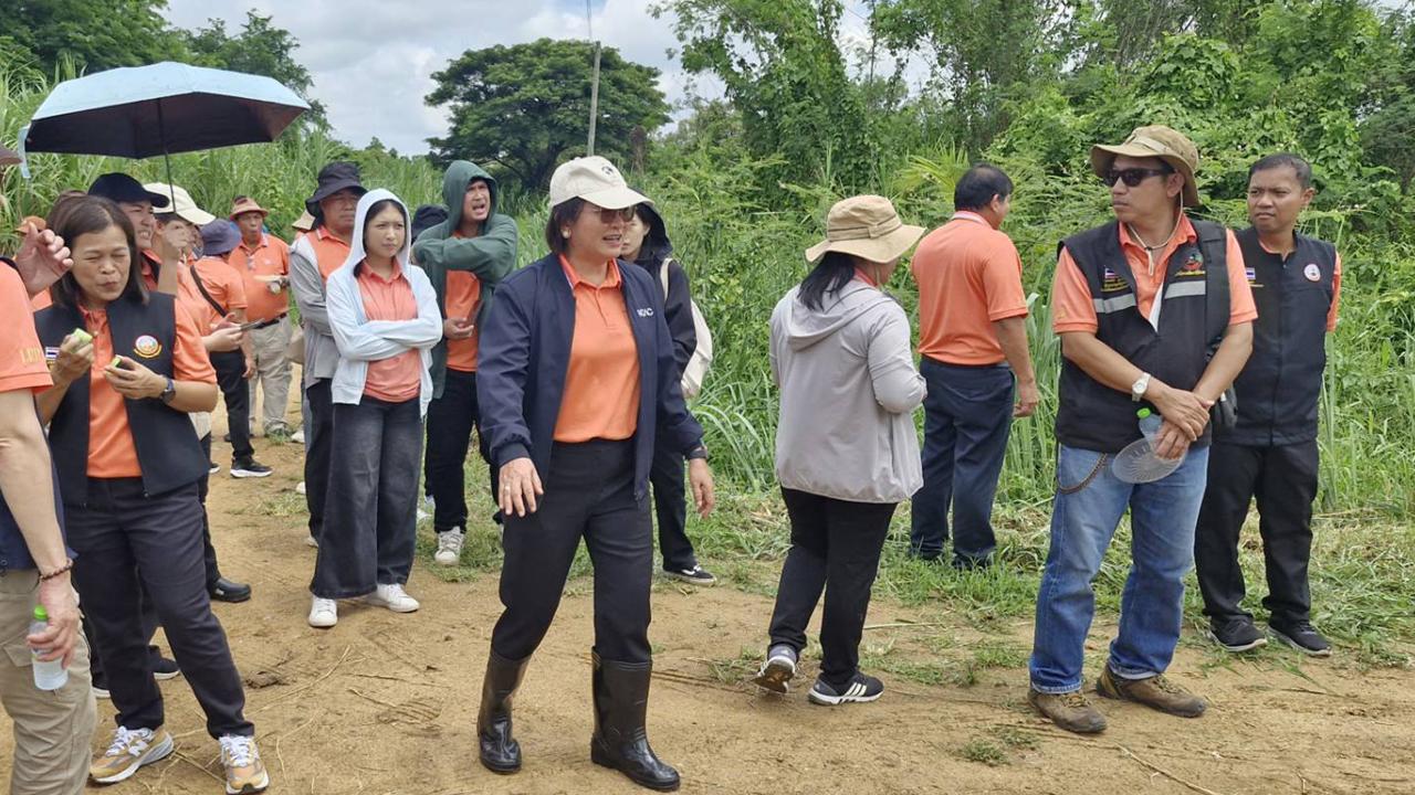 ภาพประกอบที่ 1