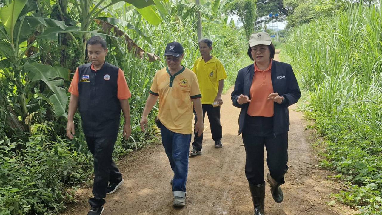 ภาพประกอบที่ 3