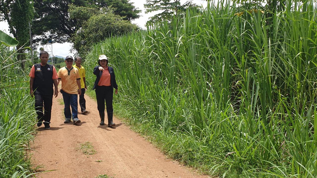 ภาพประกอบที่ 9