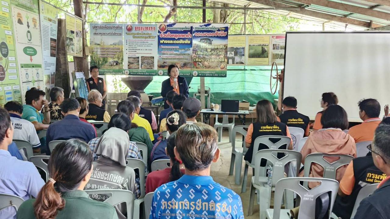 ภาพประกอบที่ 11