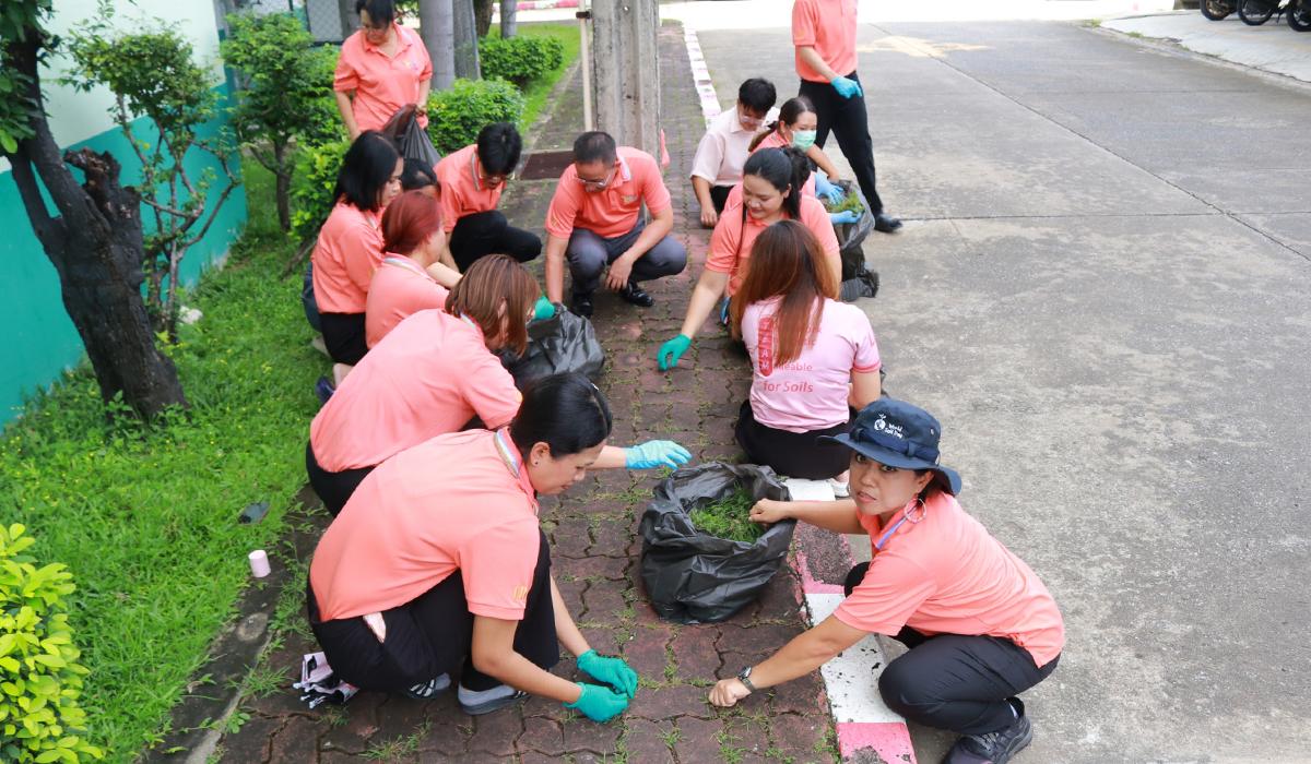 ภาพประกอบที่ 10