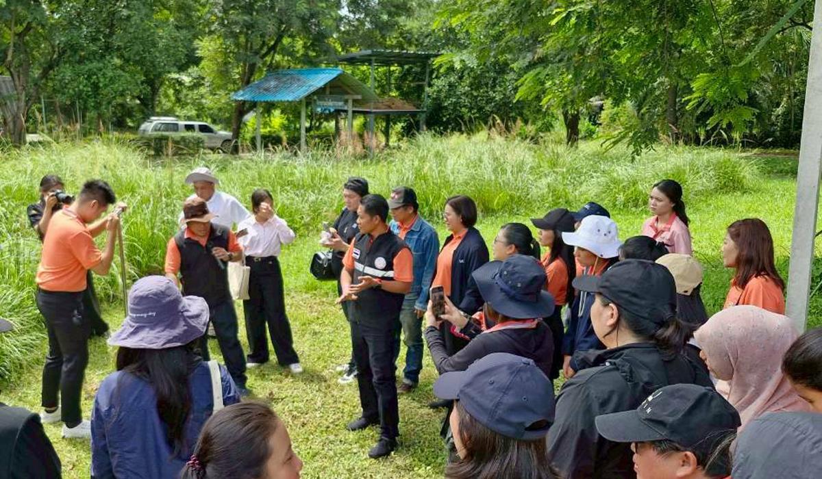 ภาพประกอบที่ 3