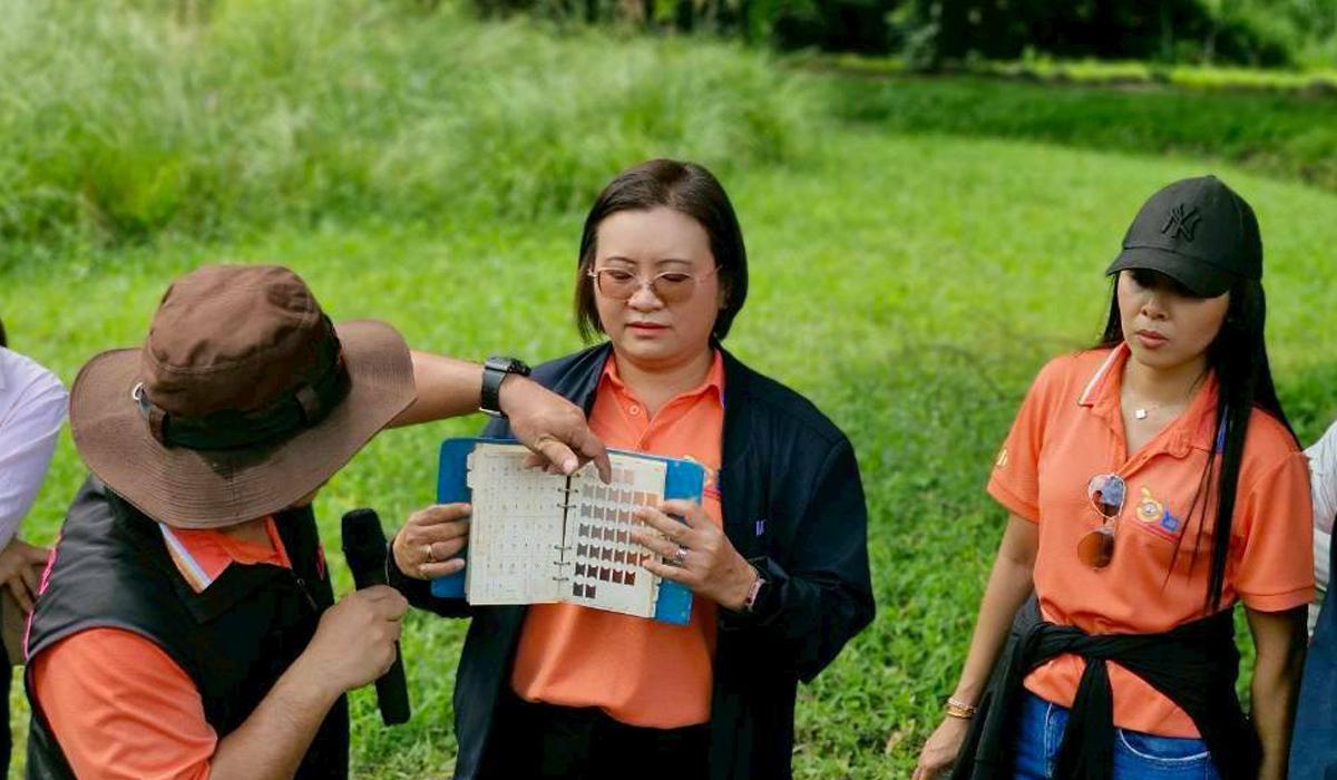 ภาพประกอบที่ 5