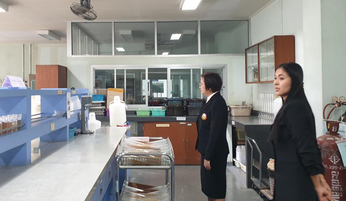 ภาพประกอบที่ 6