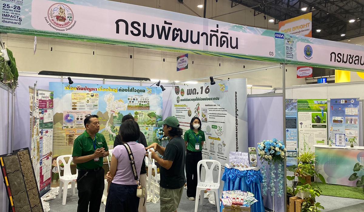 ภาพประกอบที่ 6