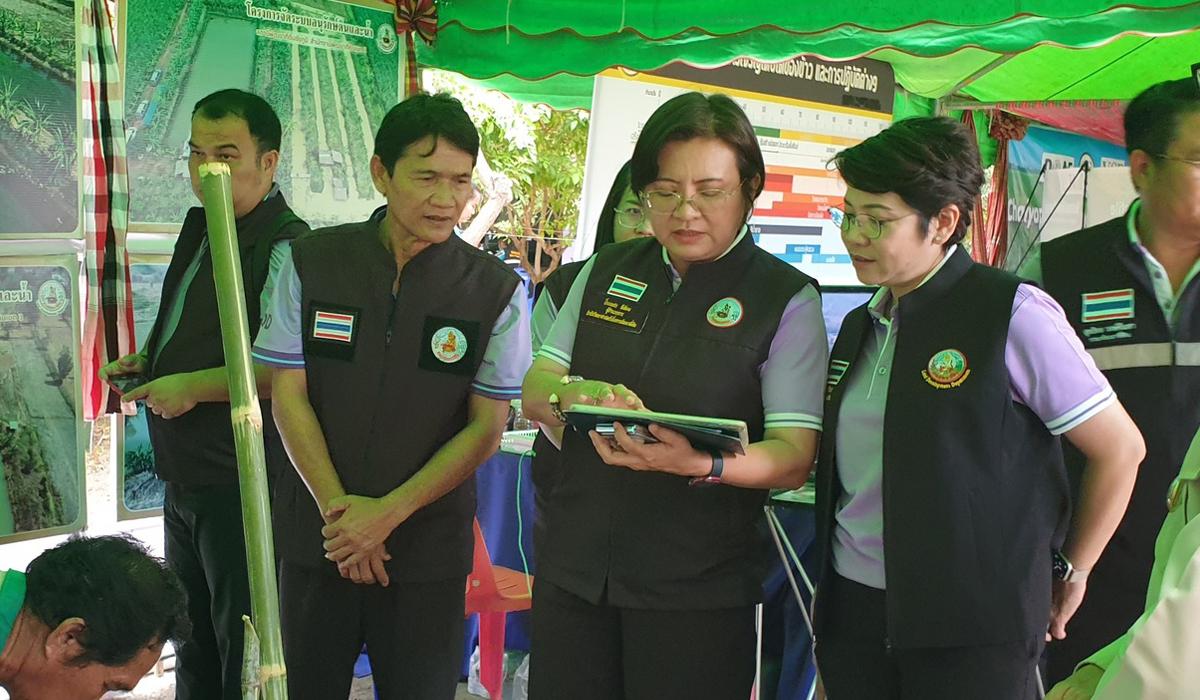 ภาพประกอบที่ 2