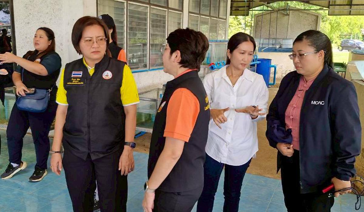 ภาพประกอบที่ 4