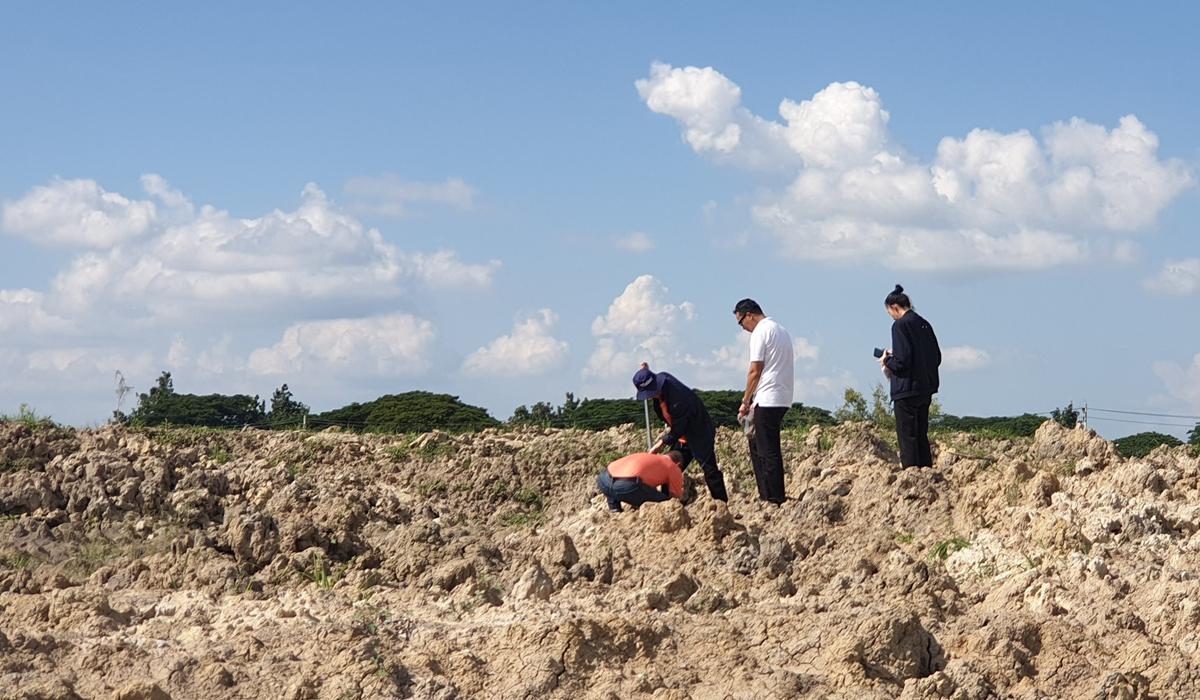 ภาพประกอบที่ 10