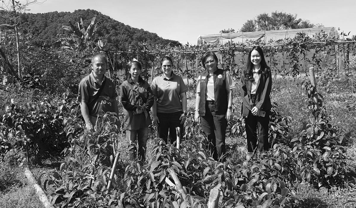 ภาพประกอบที่ 3