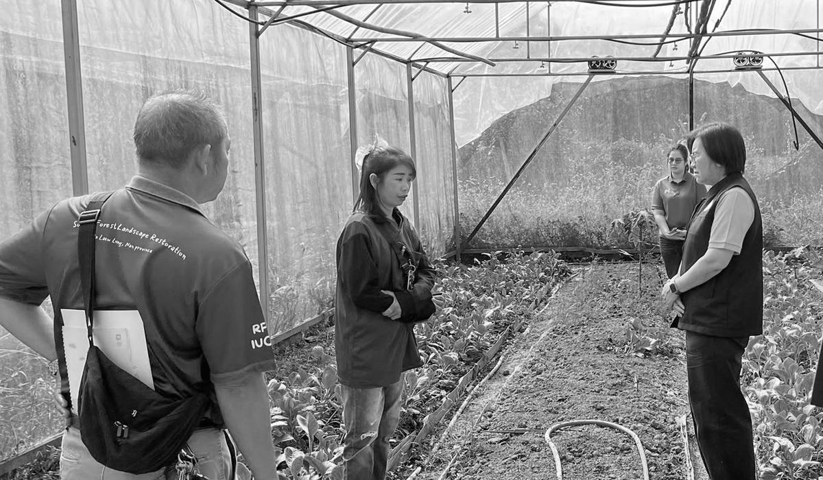 ภาพประกอบที่ 4