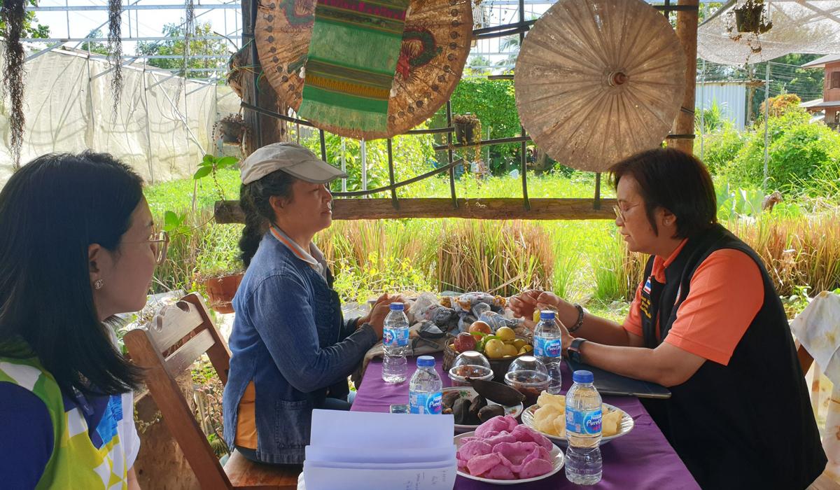 ภาพประกอบที่ 3