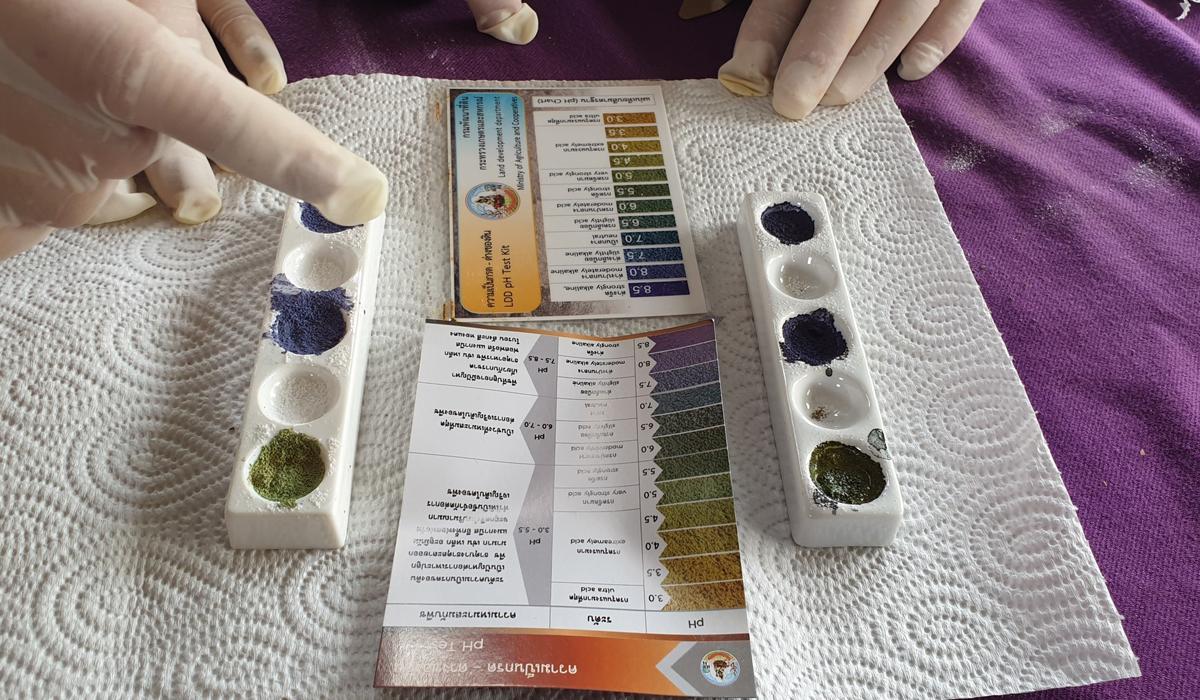 ภาพประกอบที่ 8