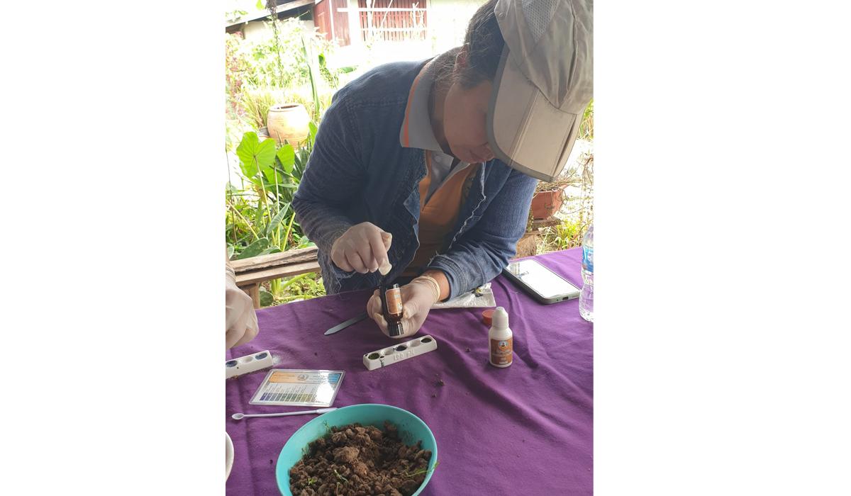 ภาพประกอบที่ 11