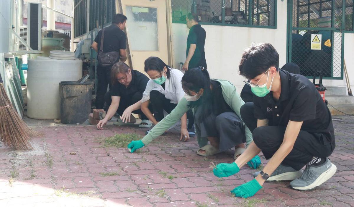 ภาพประกอบที่ 7