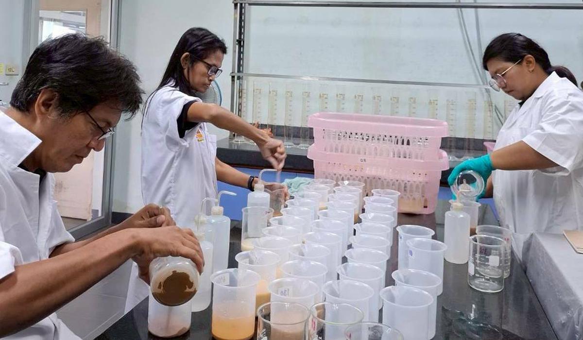 ภาพประกอบที่ 0