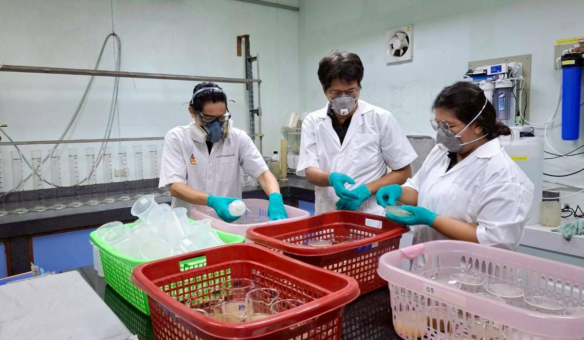 ภาพประกอบที่ 2