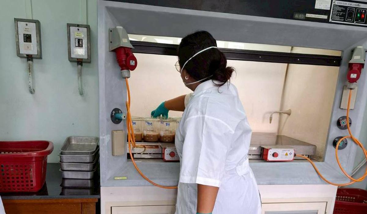 ภาพประกอบที่ 3