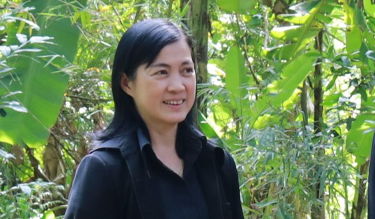 ภาพประกอบที่ 0