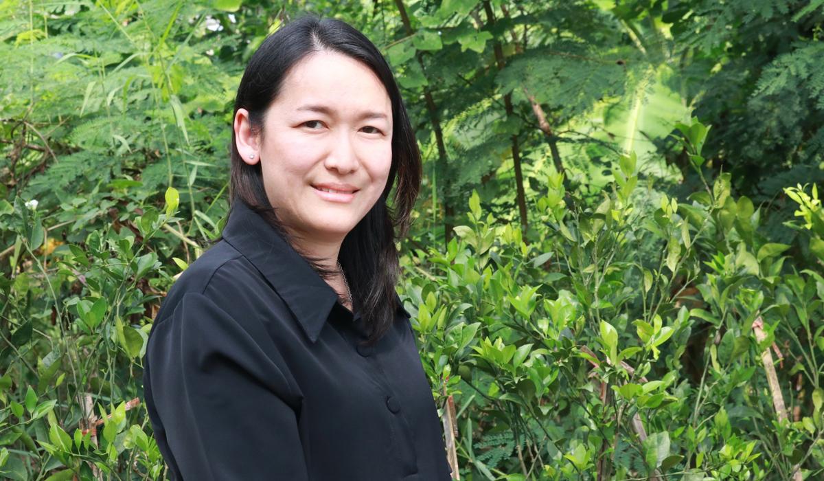 ภาพประกอบที่ 1