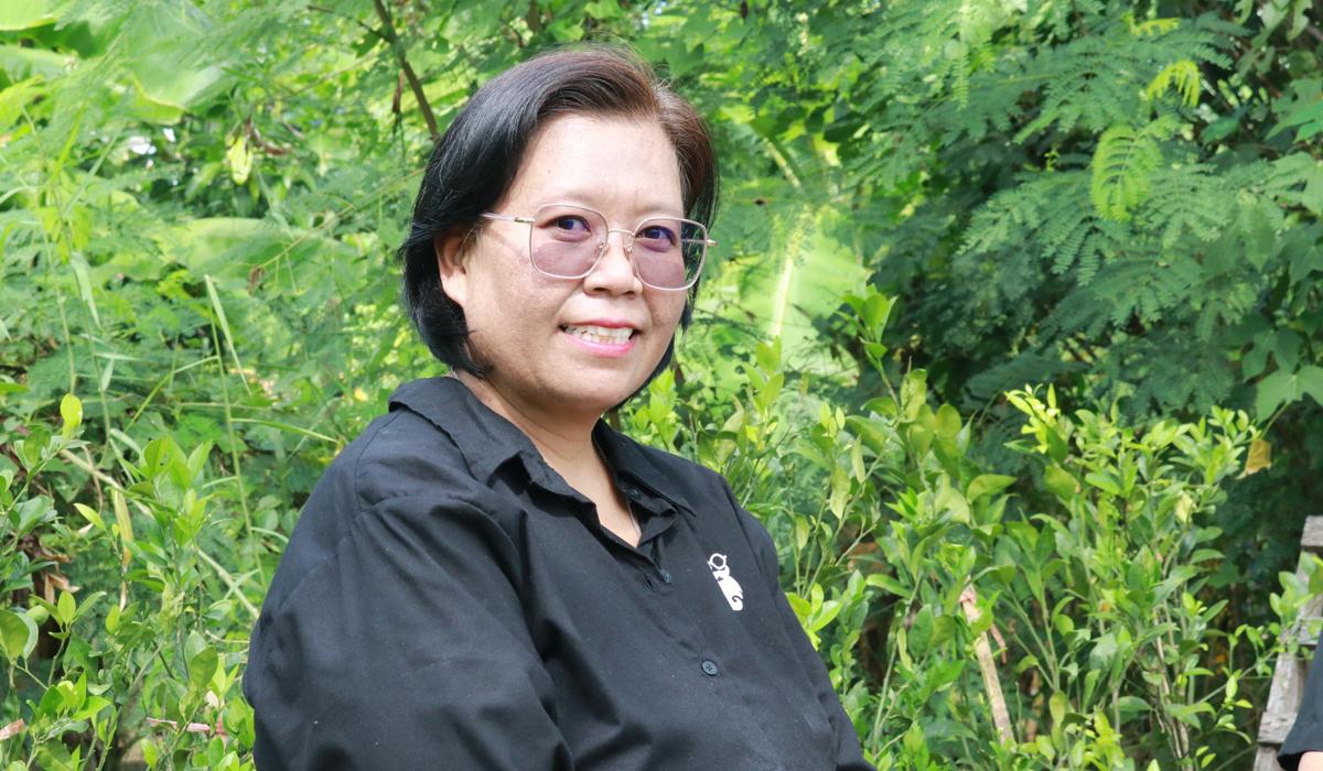 ภาพประกอบที่ 2