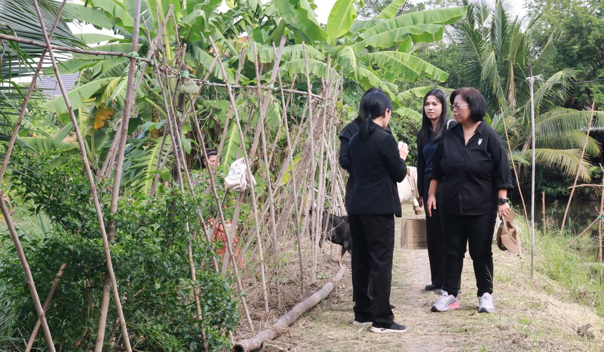 ภาพประกอบที่ 6