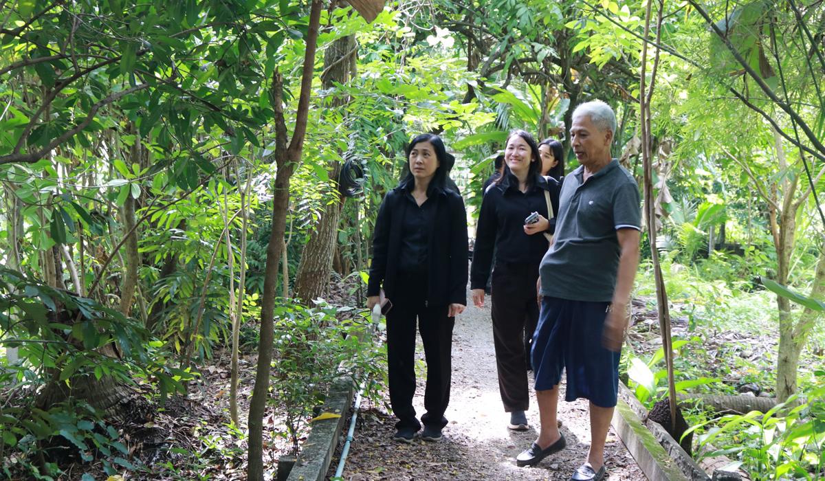 ภาพประกอบที่ 8