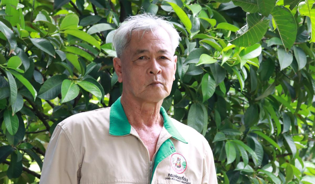 ภาพประกอบที่ 5