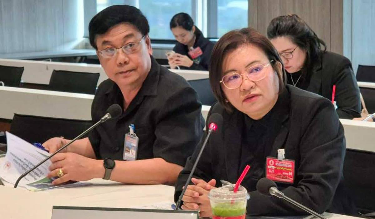 ภาพประกอบที่ 1