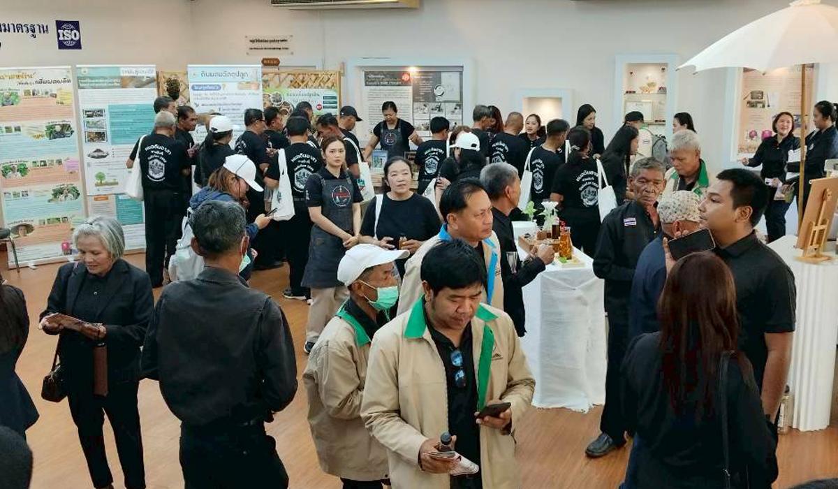 ภาพประกอบที่ 3