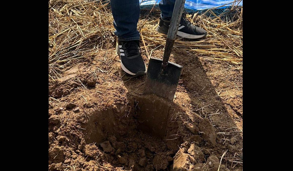 ภาพประกอบที่ 3