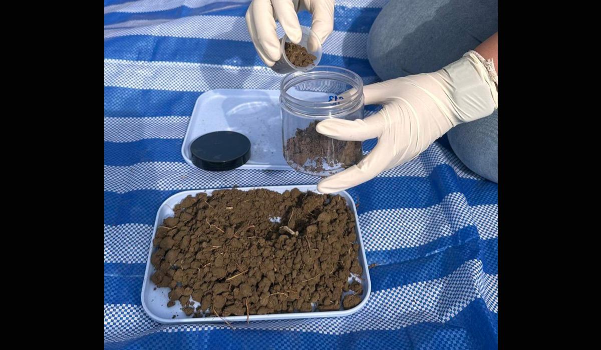 ภาพประกอบที่ 4