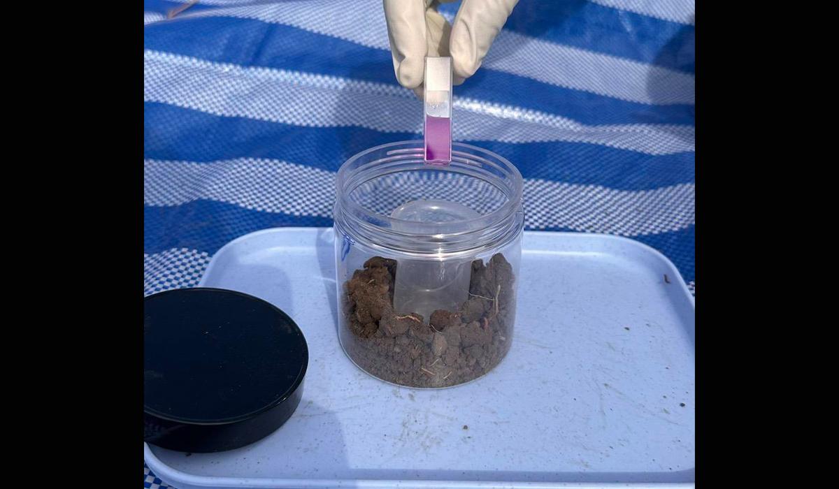 ภาพประกอบที่ 5