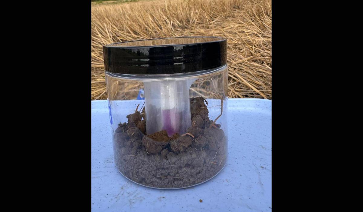 ภาพประกอบที่ 6