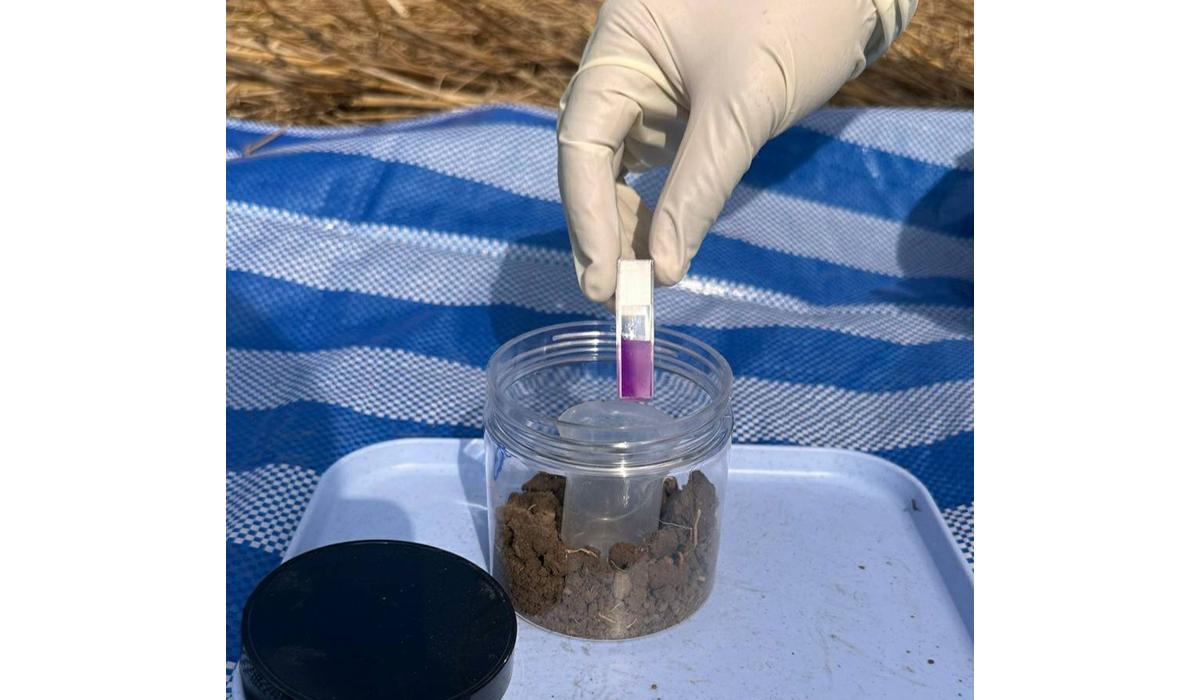 ภาพประกอบที่ 2