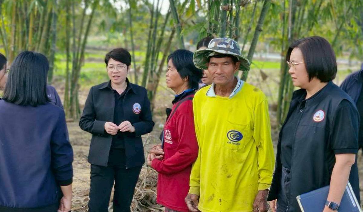 ภาพประกอบที่ 0