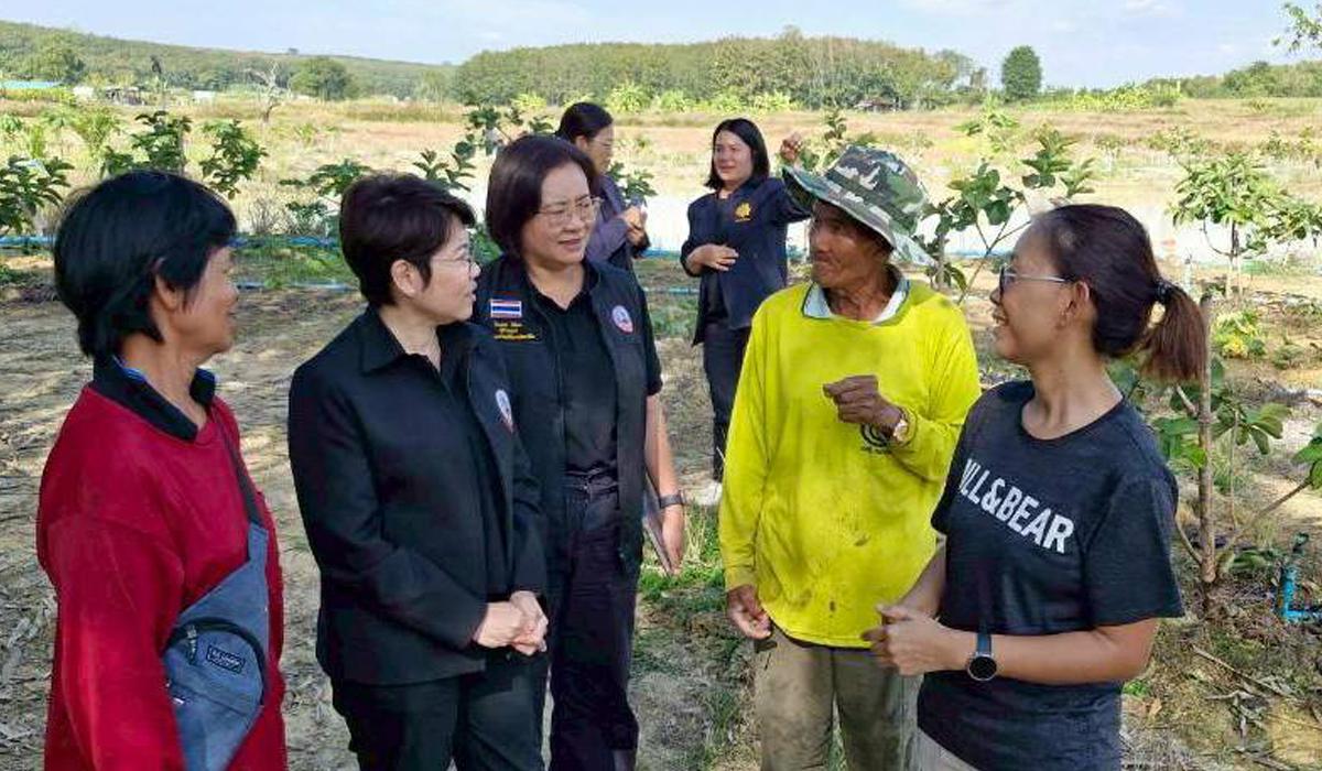 ภาพประกอบที่ 1