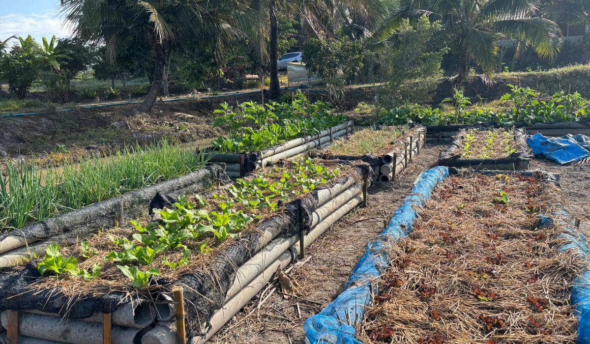 ภาพประกอบที่ 3