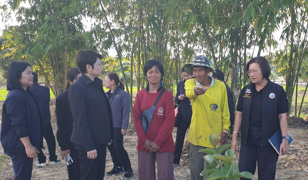 ภาพประกอบที่ 5