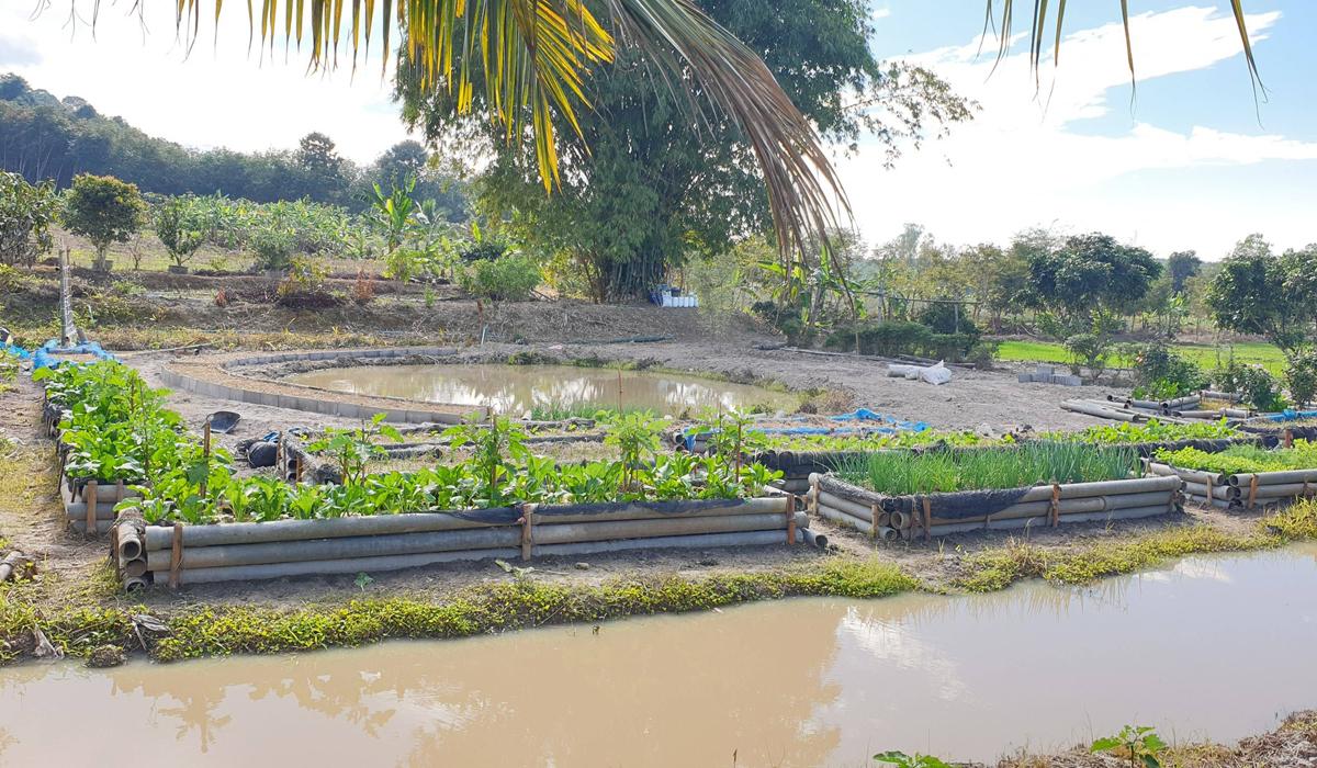 ภาพประกอบที่ 7