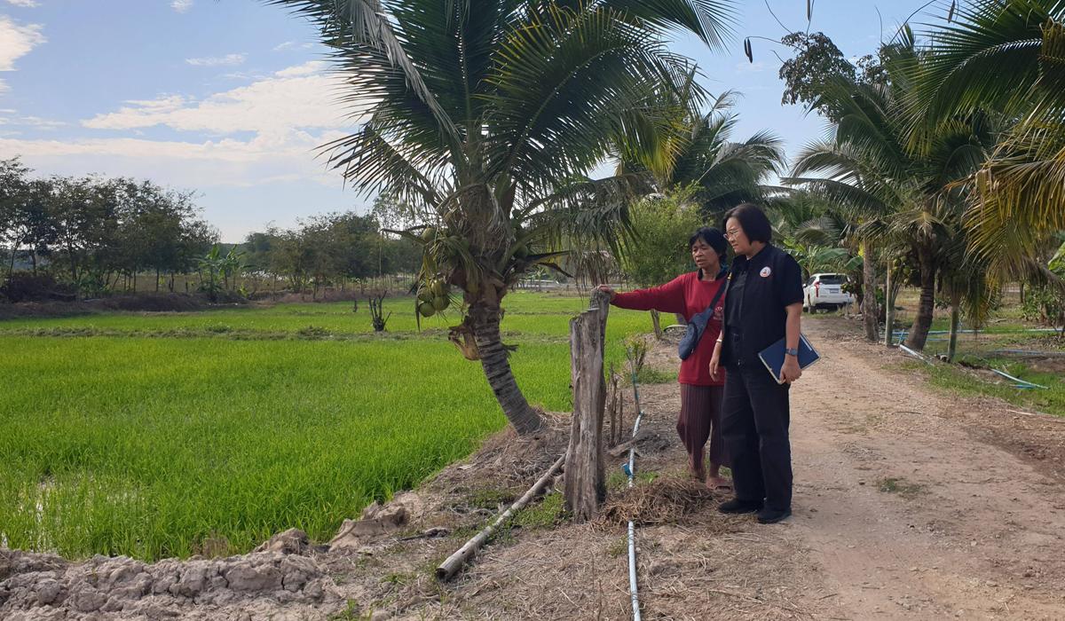 ภาพประกอบที่ 8