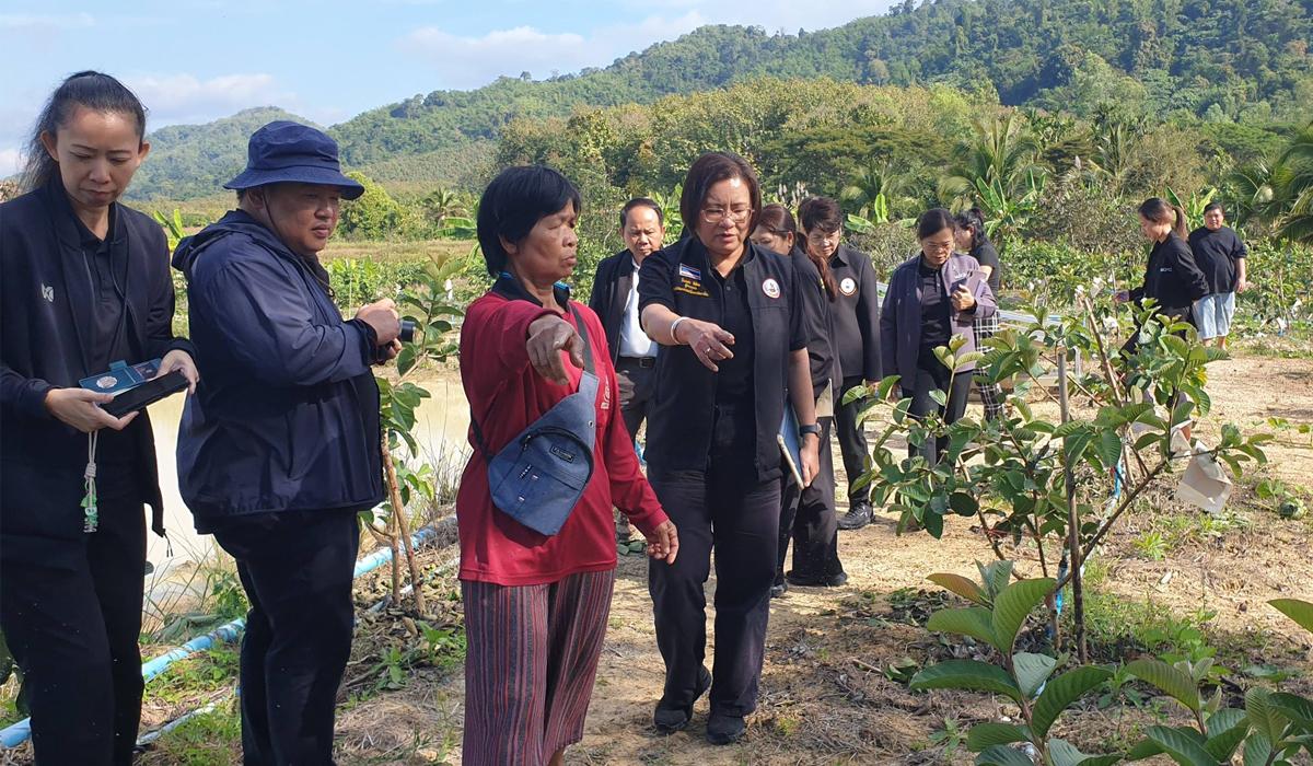 ภาพประกอบที่ 9