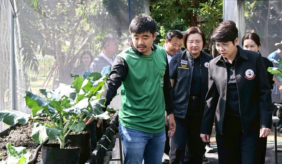 ภาพประกอบที่ 2