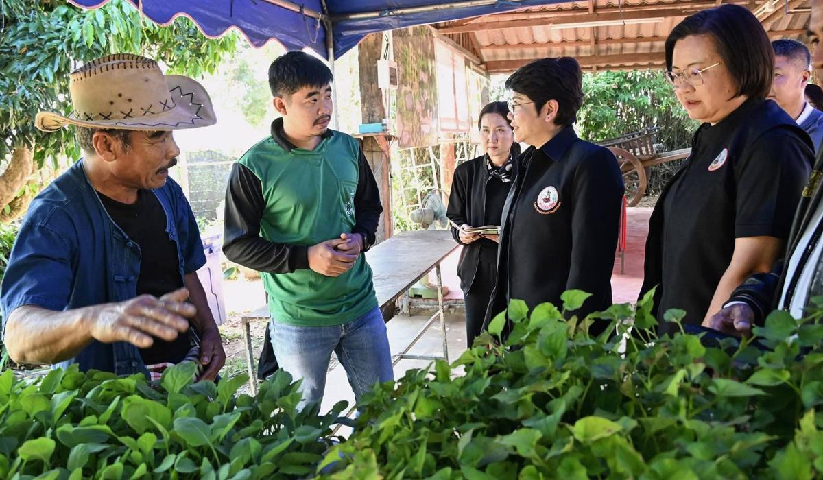 ภาพประกอบที่ 3