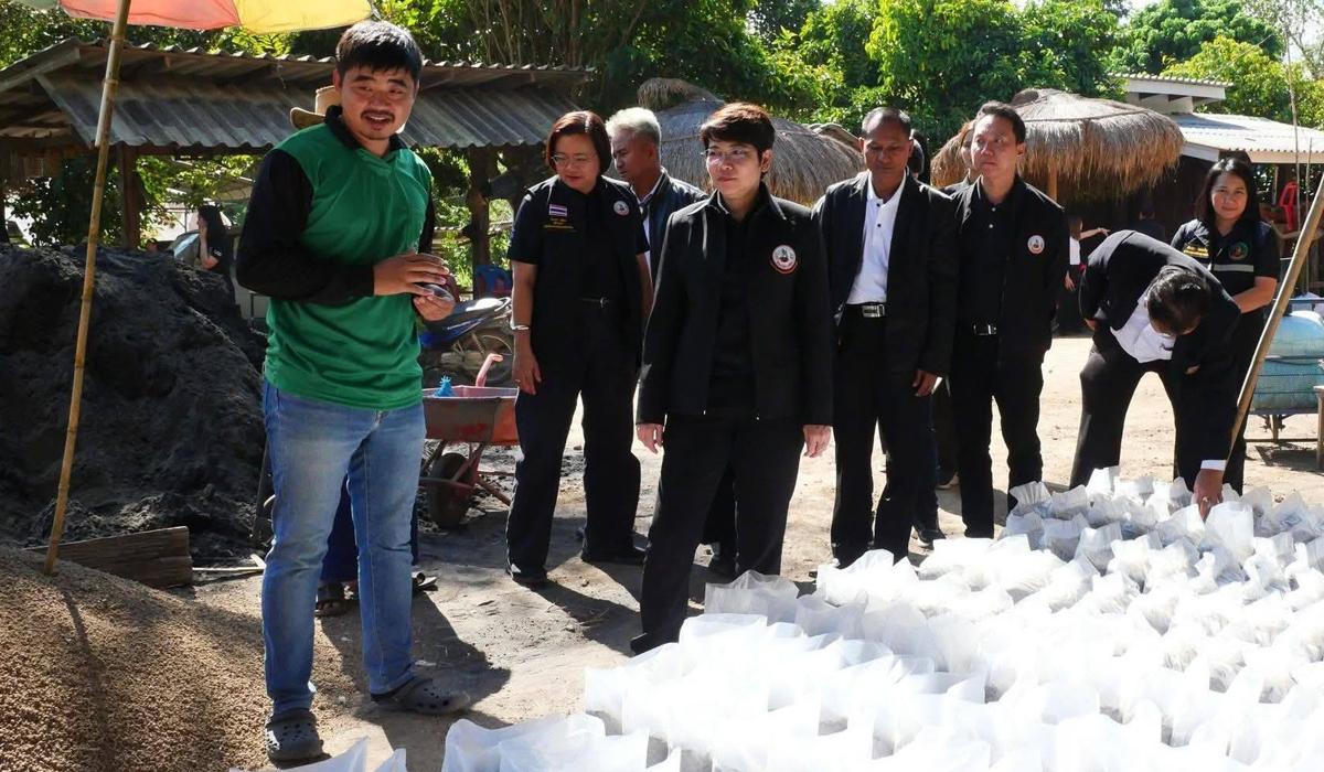 ภาพประกอบที่ 5