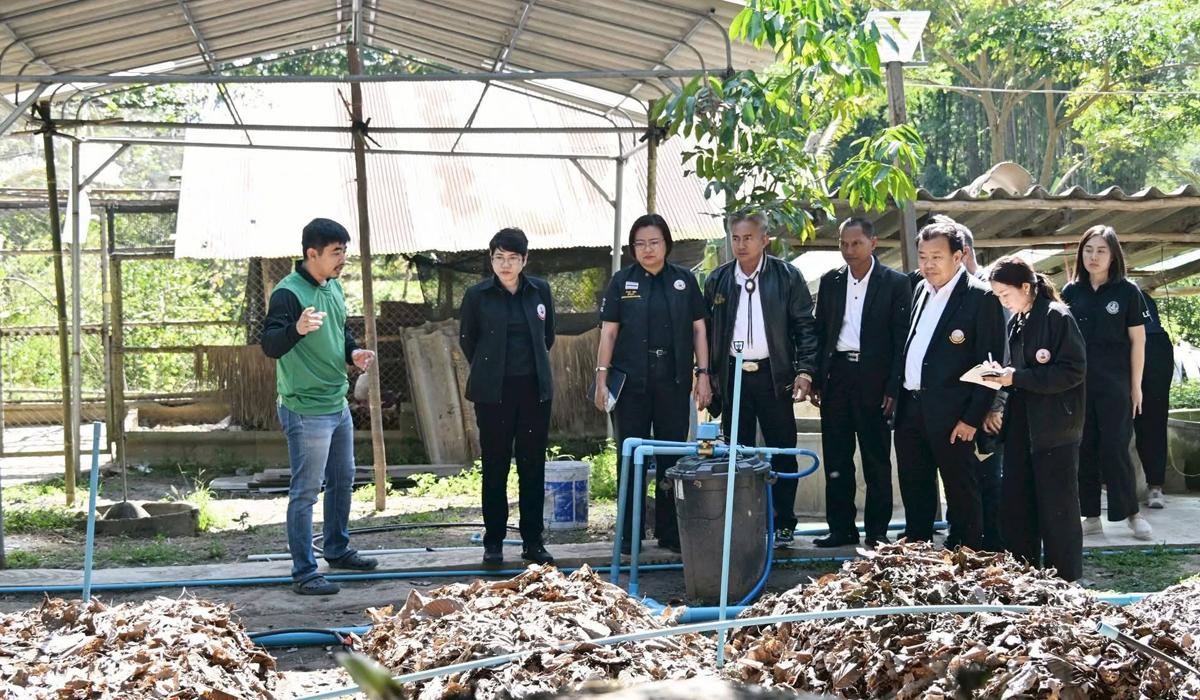 ภาพประกอบที่ 7