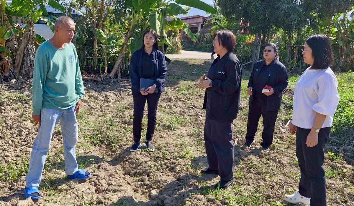 ภาพประกอบที่ 0